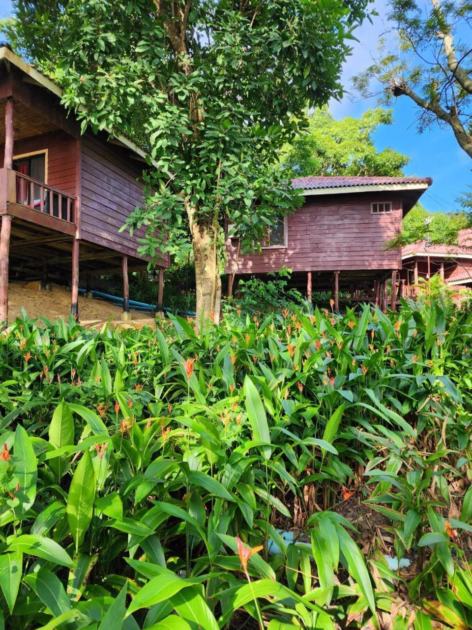 Sweet Jungle Bungalows Kaoh Touch エクステリア 写真