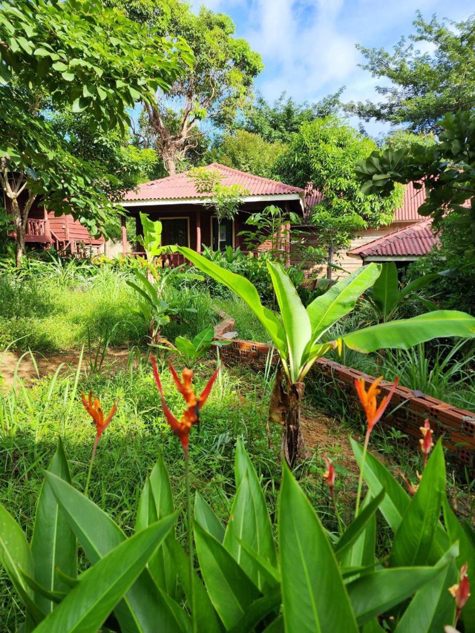 Sweet Jungle Bungalows Kaoh Touch エクステリア 写真