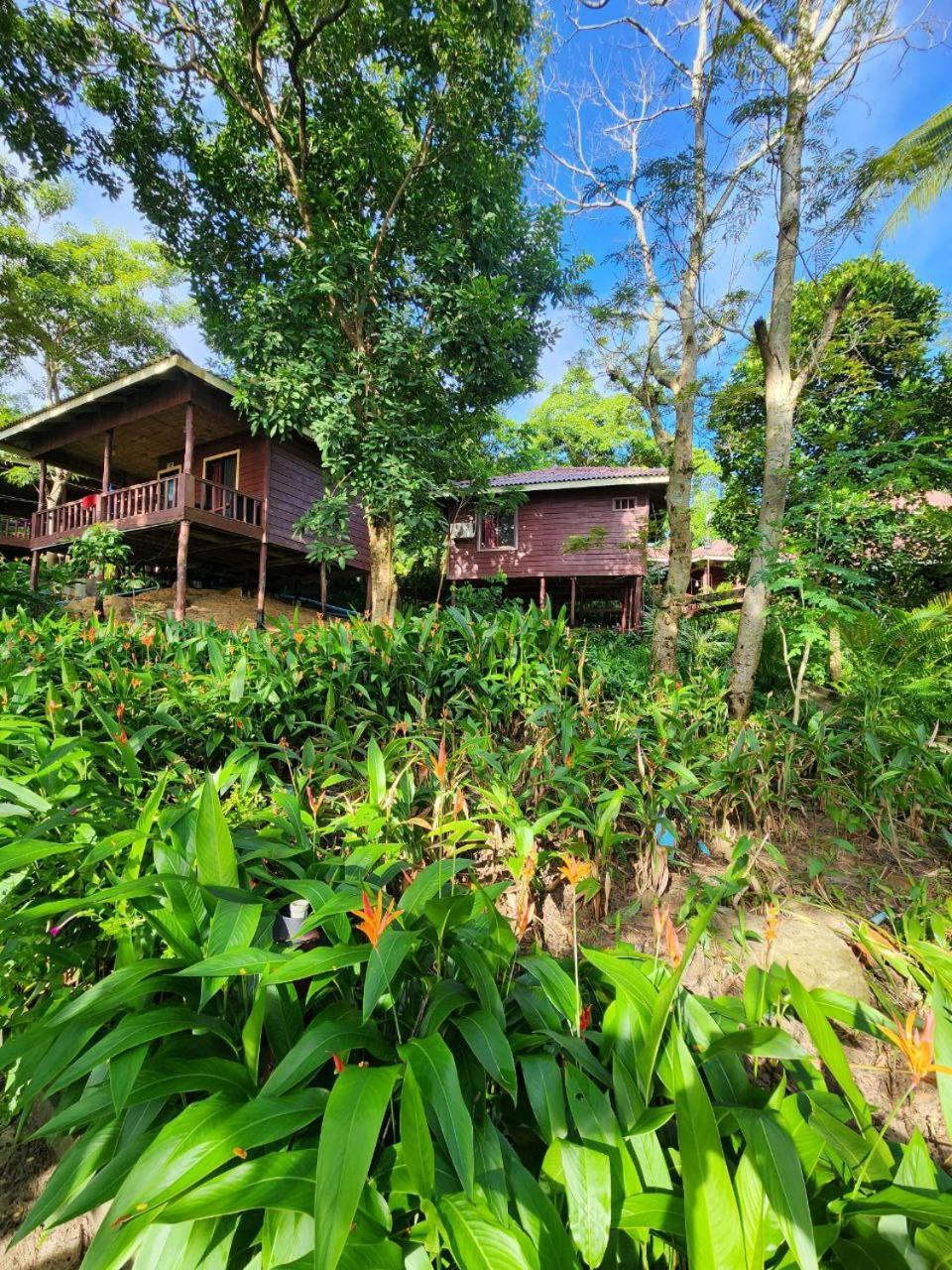 Sweet Jungle Bungalows Kaoh Touch エクステリア 写真