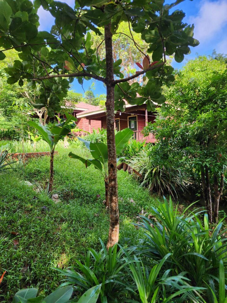 Sweet Jungle Bungalows Kaoh Touch エクステリア 写真